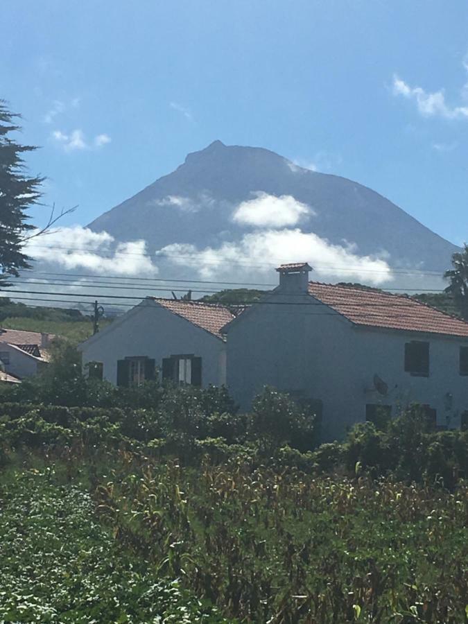 Home Pico - Casa Dos Cedros Criacao Velha ภายนอก รูปภาพ